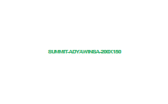summit adyawinsa